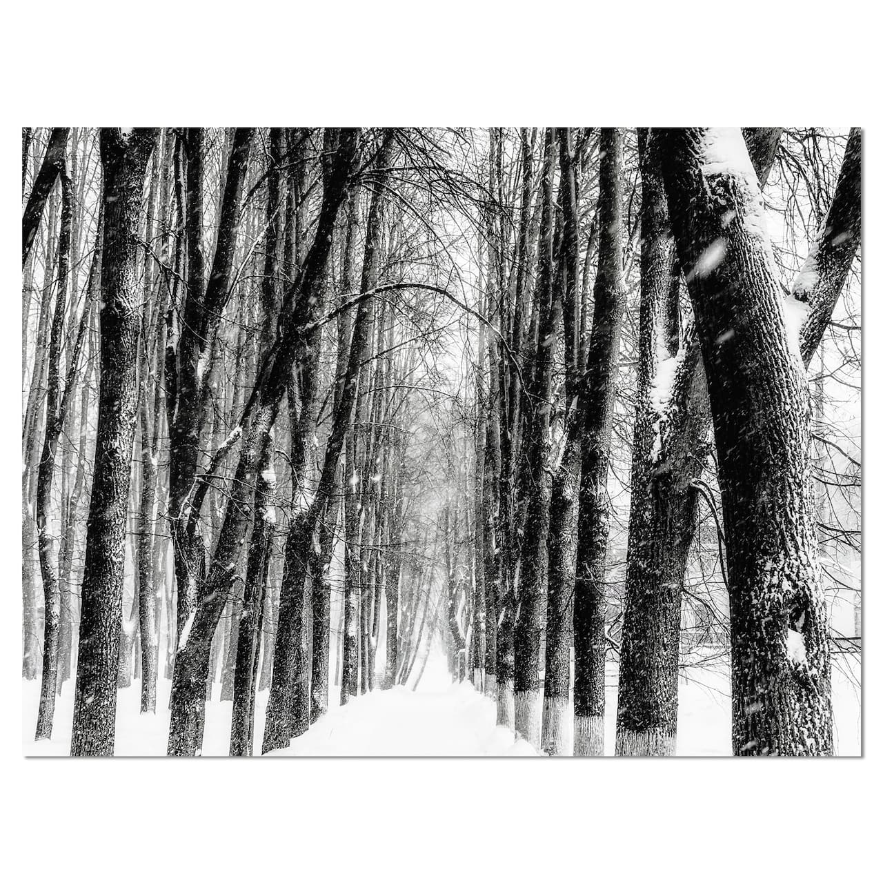 Designart - Snowy Forest Black and White - Modern Forest Canvas Art